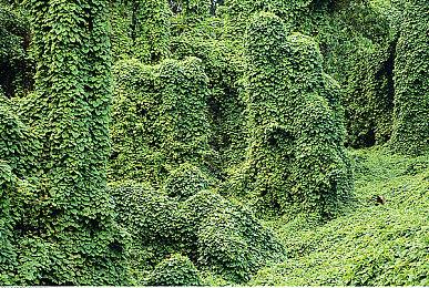 流行文化＆游戏展会PAX South被无限期取消